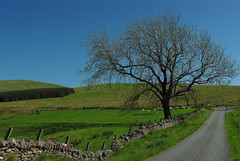 One lane road in rural Sheriffmuir, Scotland