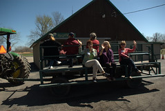 Touring the pasture