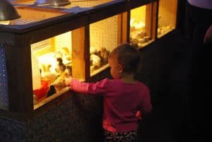 Baby points to baby chicks. Photo by Becky McCray