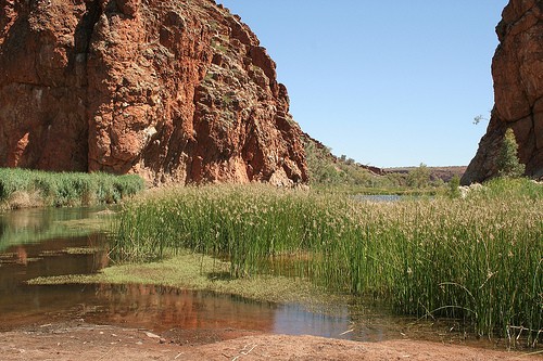 Glen Helen Gorge. Photo by melalouise