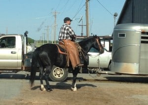 A horseback rider stands next to a pickup truck pulling a stock trailer.