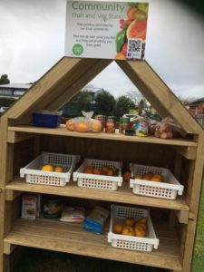 Shelves of fruits and vegetables in trays